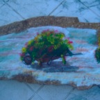 carretta con fiori